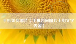 手机如何图片（手机如何图片上的文字内容）