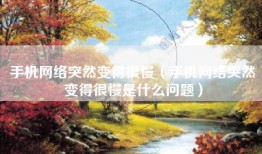 手机网络突然变得很慢（手机网络突然变得很慢是什么问题）