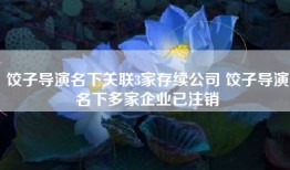 饺子导演名下关联3家存续公司 饺子导演名下多家企业已注销