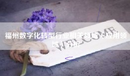 福州数字化转型行业相关领域（应用领域）分析
