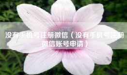 没有手机号注册微信（没有手机号注册微信账号申请）