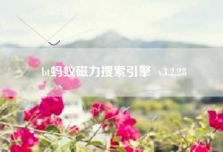 bt蚂蚁磁力搜索引擎  v3.2.28