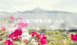 bt蚂蚁磁力搜索引擎  v3.2.28