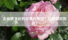企业数字化转型有何原因？目前情况如何？