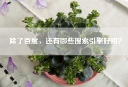 除了百度，还有哪些搜索引擎好用？