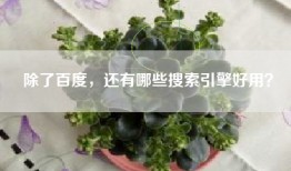 除了百度，还有哪些搜索引擎好用？