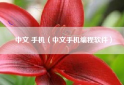 中文 手机（中文手机编程软件）