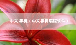 中文 手机（中文手机编程软件）