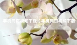 手机网页视频下载（手机网页视频下载器ios）