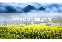 数字化转型包括哪些方面
