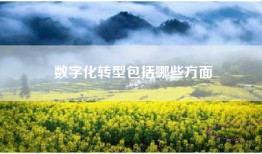 数字化转型包括哪些方面
