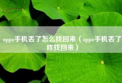 oppo手机丢了怎么找回来（oppo手机丢了咋找回来）