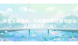 降低无效咨询，百度搜索如何触发专家品牌曝光新可能？