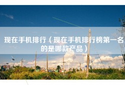 现在手机排行（现在手机排行榜第一名的是哪款产品）