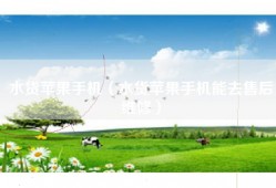 水货苹果手机（水货苹果手机能去售后维修）
