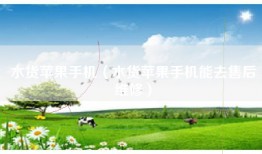 水货苹果手机（水货苹果手机能去售后维修）