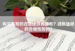 购买驾照的合法途径有哪些？这些途径的合规性如何？