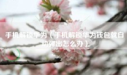 手机解锁华为（手机解锁华为钱包就自动弹出怎么办）