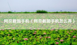 网页截图手机（网页截图手机怎么弄）