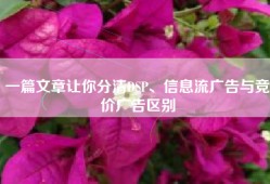 一篇文章让你分清DSP、信息流广告与竞价广告区别