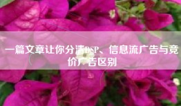 一篇文章让你分清DSP、信息流广告与竞价广告区别