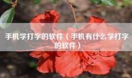 手机学打字的软件（手机有什么学打字的软件）