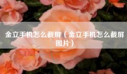 金立手机怎么截屏（金立手机怎么截屏图片）