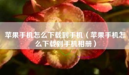 苹果手机怎么下载到手机（苹果手机怎么下载到手机相册）