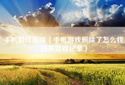 手机游戏删除（手机游戏删除了怎么找回来游戏记录）