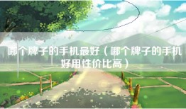 哪个牌子的手机最好（哪个牌子的手机好用性价比高）