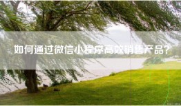 如何通过微信小程序高效销售产品？