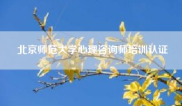 北京师范大学心理咨询师培训认证