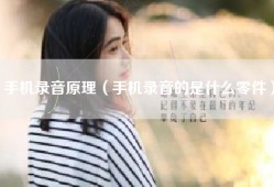 手机录音原理（手机录音的是什么零件）