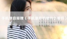 手机录音原理（手机录音的是什么零件）