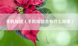 手机短路（手机短路会有什么现象）