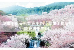 苹果手机关机能充电吗（苹果手机关机能充进电去吗）