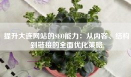 提升大连网站的SEO能力：从内容、结构到链接的全面优化策略