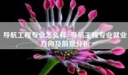 导航工程专业怎么样_导航工程专业就业方向及前景分析