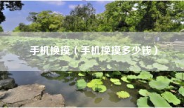 手机换摸（手机换摸多少钱）