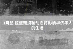 11月起 这些新规和动态将影响华侨华人的生活