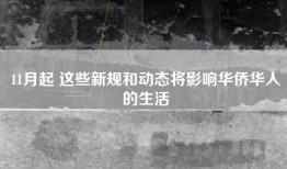 11月起 这些新规和动态将影响华侨华人的生活