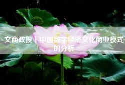 文商政投｜中国数字经济文化商业模式的分析