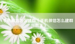 手机微信怎么建群（手机微信怎么建群当群主）