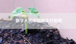 数字人民币如何支付使用