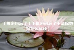 手机密码忘了（手机密码忘了不清除数据怎么解锁）