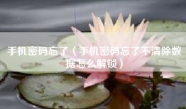 手机密码忘了（手机密码忘了不清除数据怎么解锁）