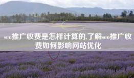 seo推广收费是怎样计算的,了解seo推广收费如何影响网站优化