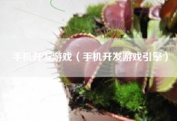 手机开发游戏（手机开发游戏引擎）