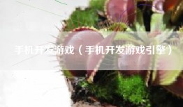 手机开发游戏（手机开发游戏引擎）