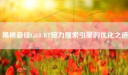 揭秘最佳Cili8 BT磁力搜索引擎的优化之道